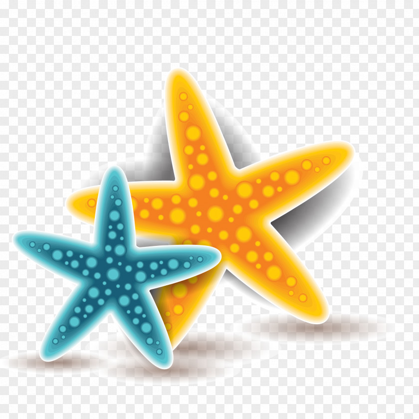 Vector Colored Starfish Euclidean PNG