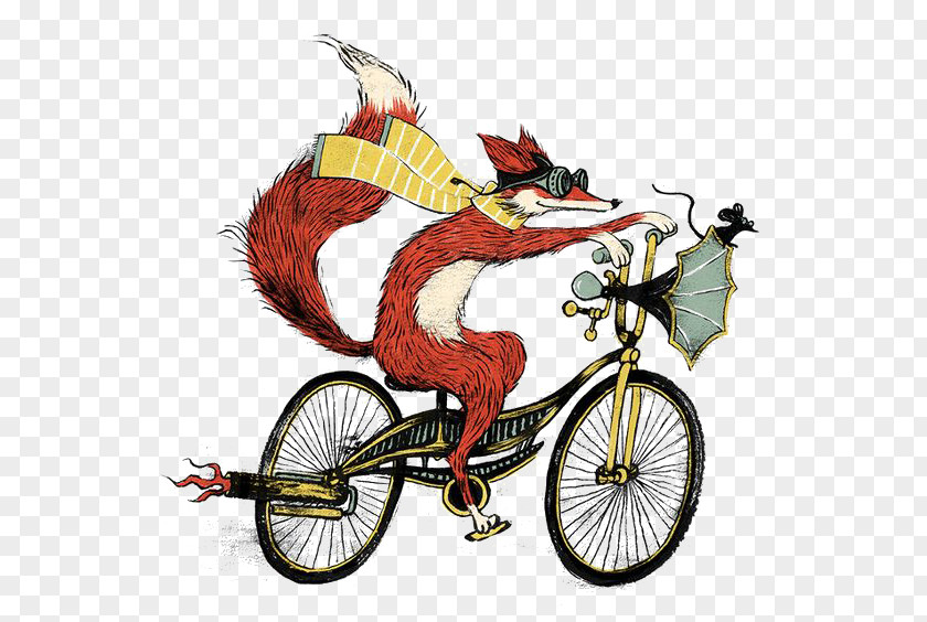 Cycling Fox Mr. Bicycles And Bicycling Drawing Art PNG