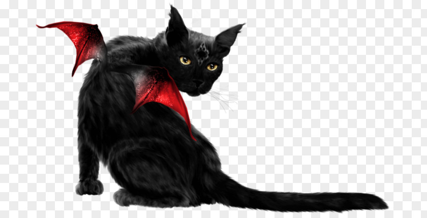 Kitten Bombay Cat Black Maine Coon Domestic Short-haired Whiskers PNG