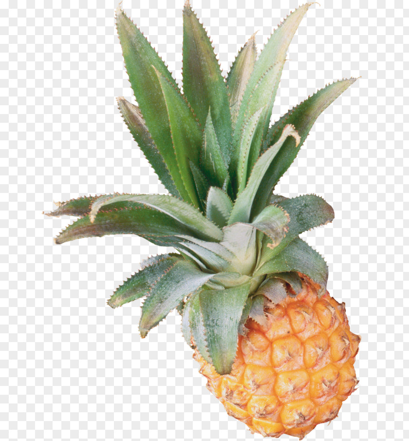 Pineapple Stuffing Food Fruit Bromeliads PNG