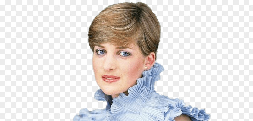 Princess Diana, Of Wales Royal Family United Kingdom PNG