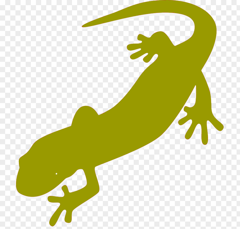 Salamander Child Newt Infant Clip Art PNG