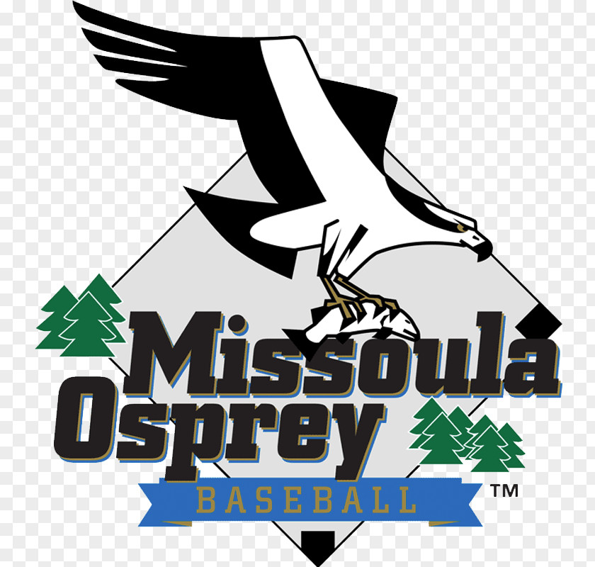 Stadium Audience Missoula Osprey Logo Great Falls Voyagers Baseball Pioneer League PNG