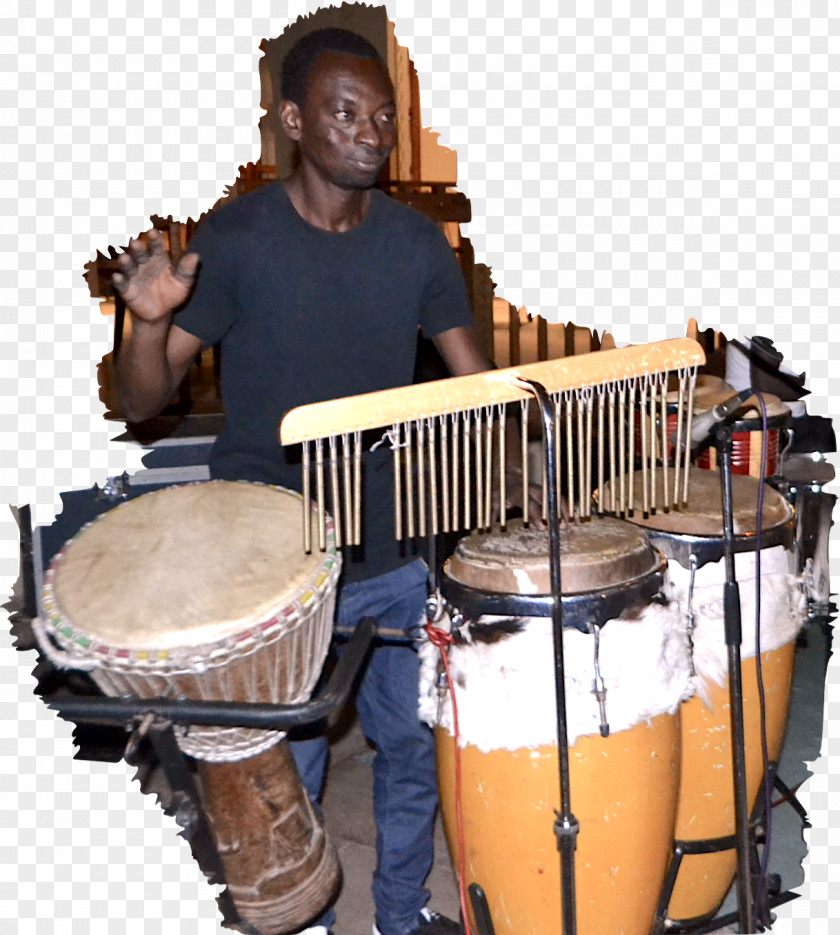 Djembe Musical Instruments Percussion Drum Timbales Tom-Toms PNG