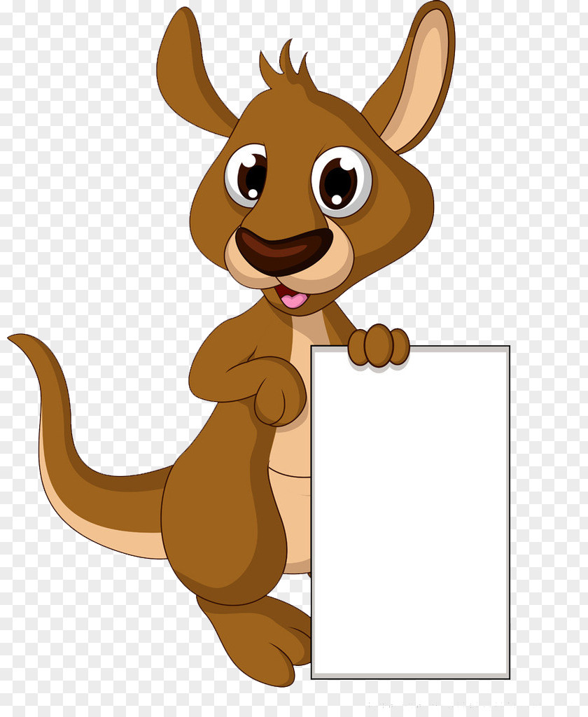Kangaroo Bottom Box Cartoon Drawing Illustration PNG