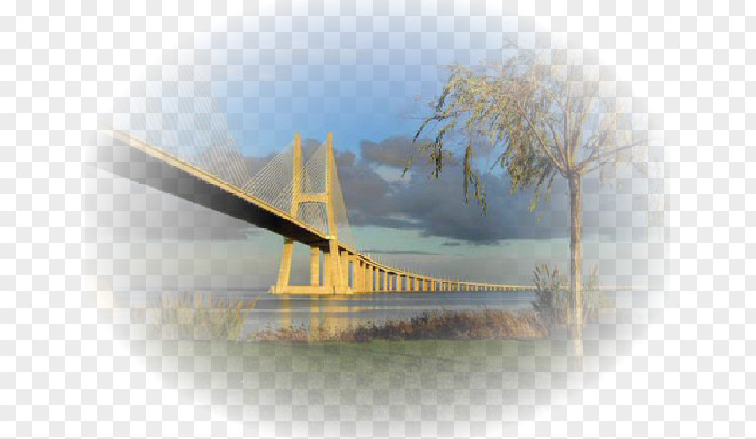 Norway Spruce Vasco Da Gama Bridge Bridge–tunnel Desktop Wallpaper Extradosed PNG