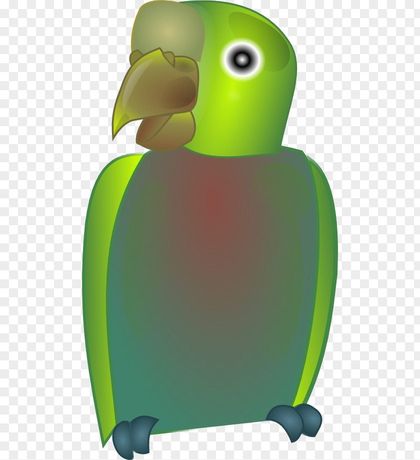 Parrot Bird Budgerigar Beak Clip Art PNG