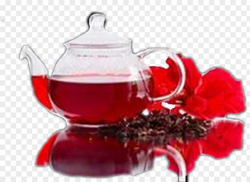 Tea Hibiscus Green Kombucha Drink PNG