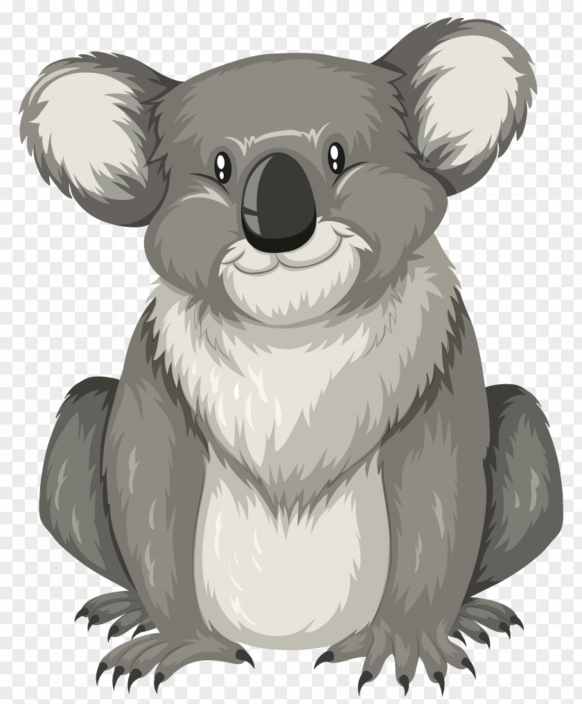 Cartoon Koala Letter K Illustration PNG