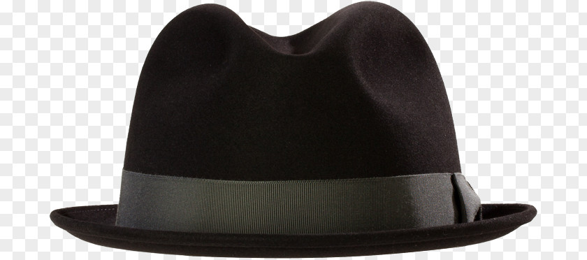 Design Fedora PNG