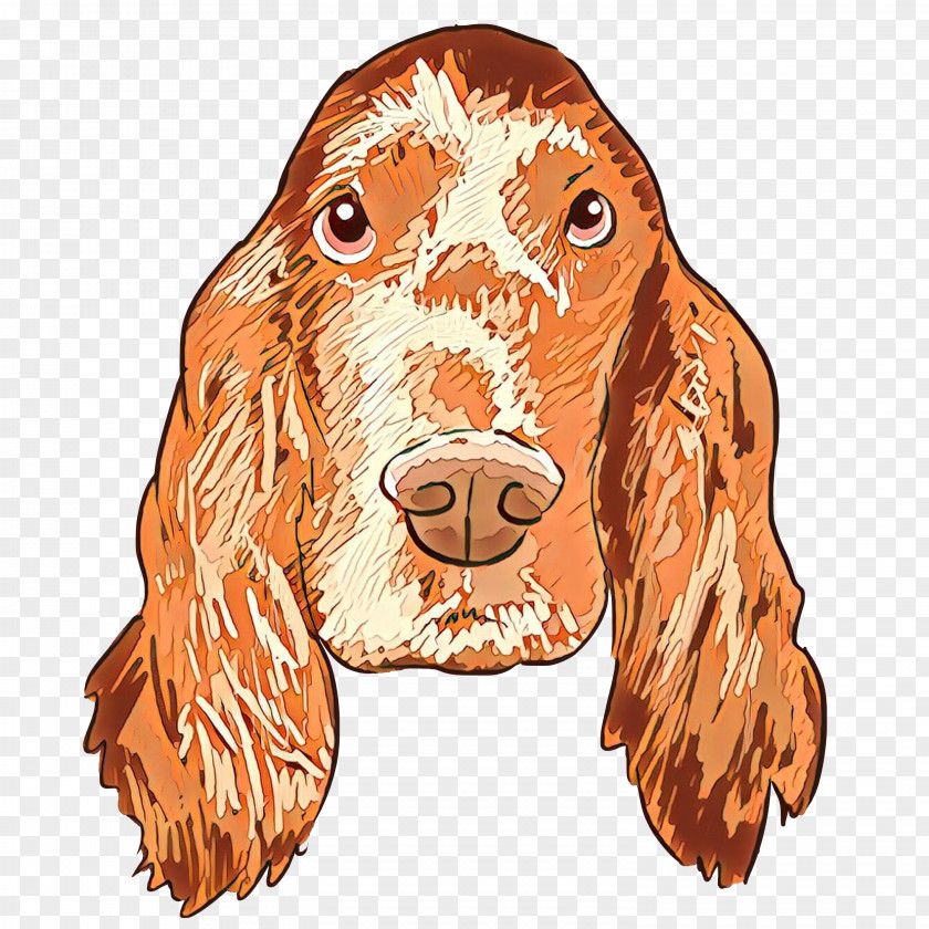 Dog Cocker Spaniel Sporting Group Irish Setter PNG