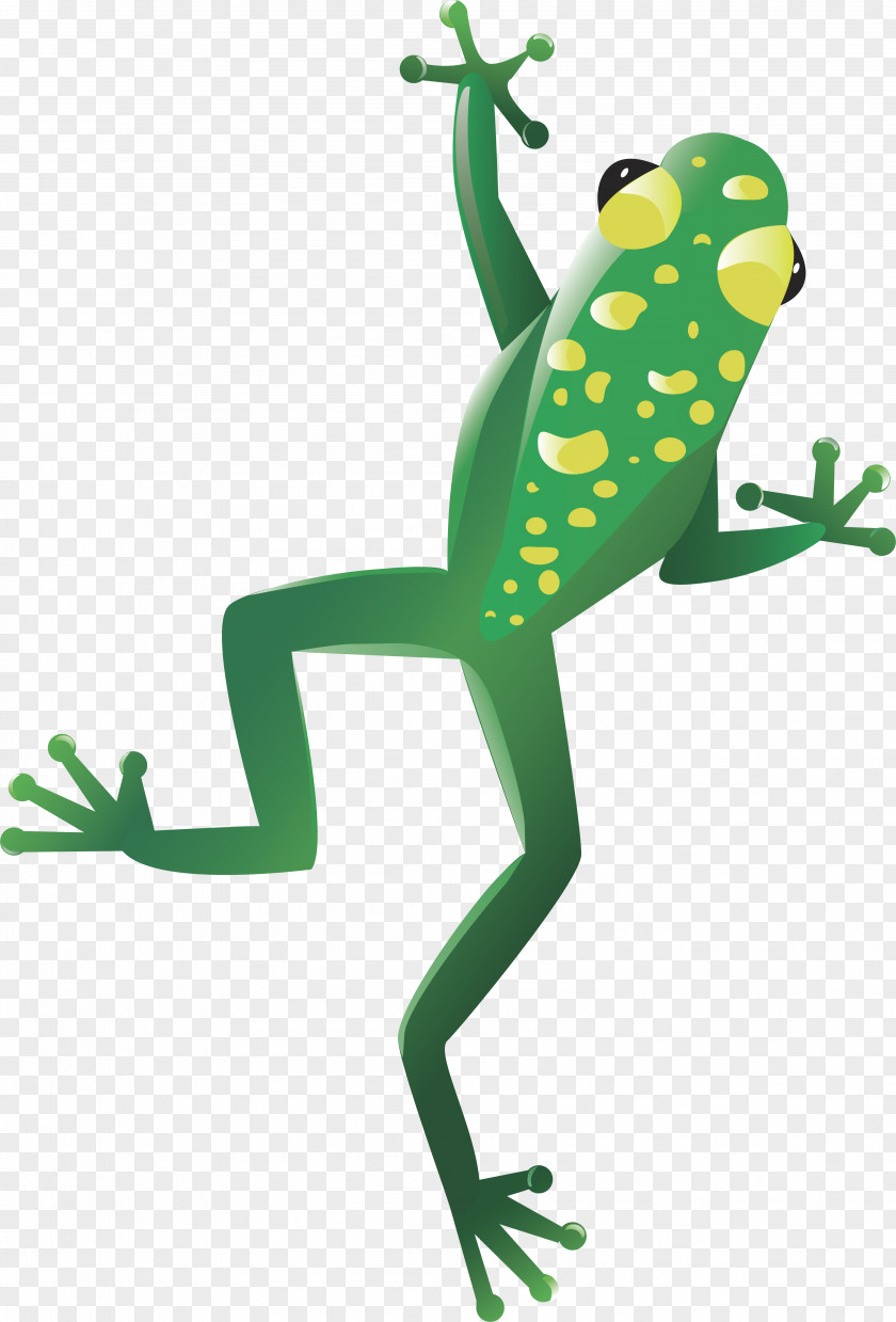 Frog Reptile Turtle Lizard Crocodile PNG