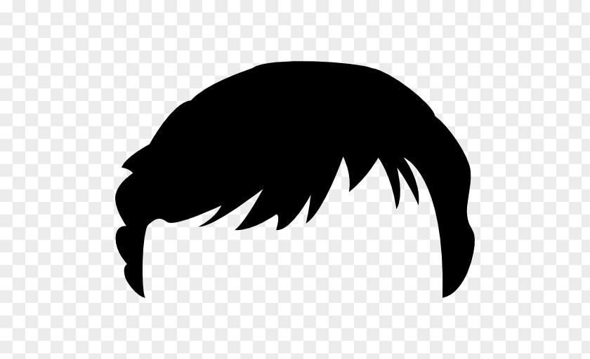 Hair Shapes Hairstyle Beauty Parlour PNG