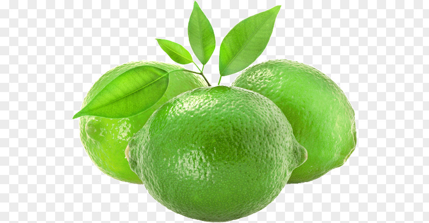 Lime Persian Lemon Juice Fruit PNG
