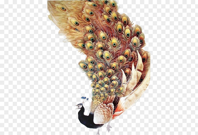 Peacock Peafowl Painting Decorative Arts Feather Cushion PNG