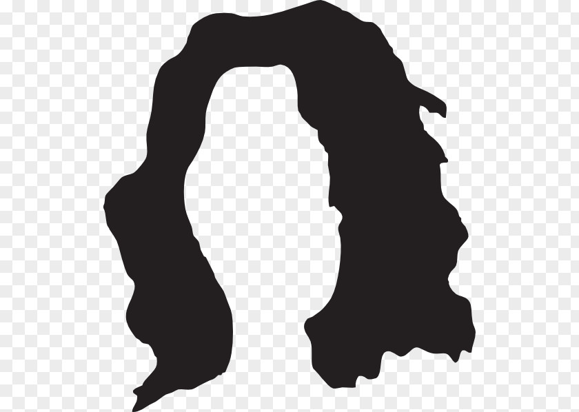 Silhouette Library Hair Cartoon PNG