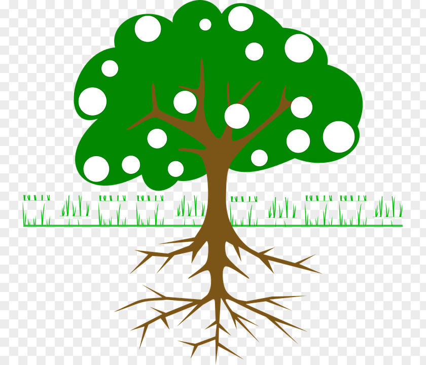 Tree Clip Art Openclipart Branch Root PNG