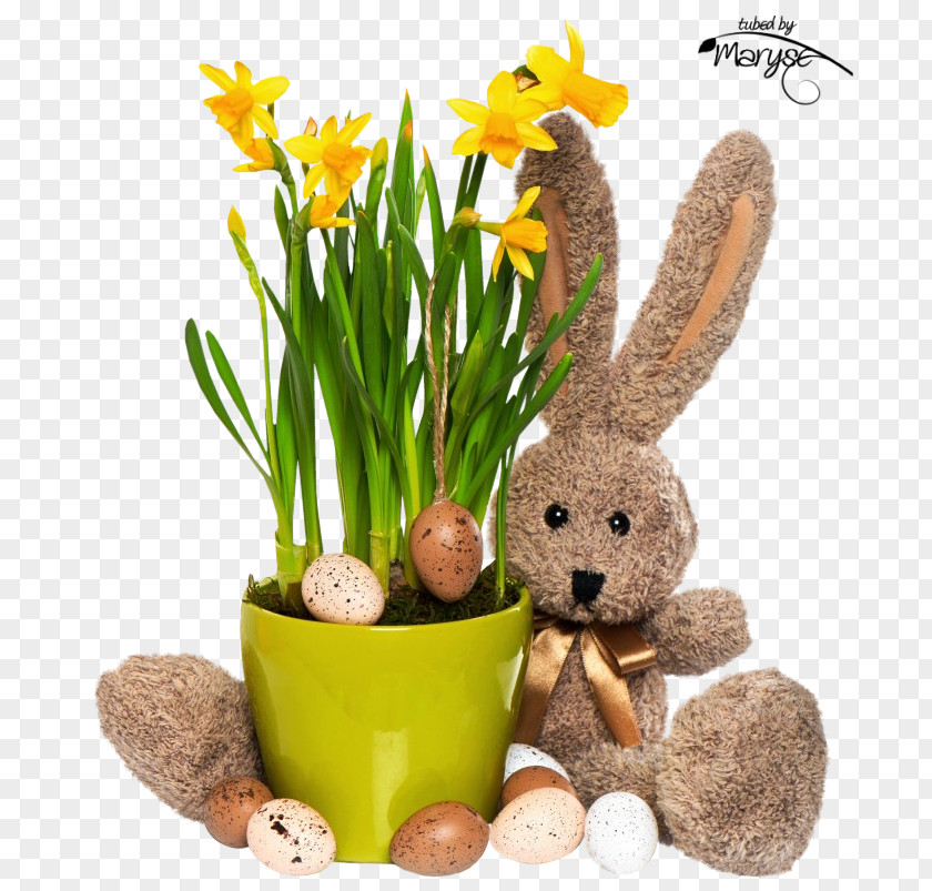 Flower Easter Bunny Flowerpot Grasses PNG