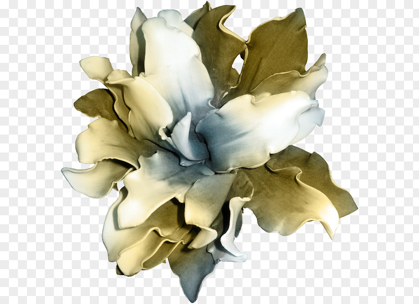 Flower Polyvore Lilium Clip Art PNG