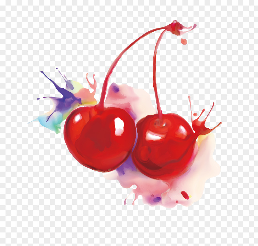 Ink Cherry Wash Painting Auglis PNG