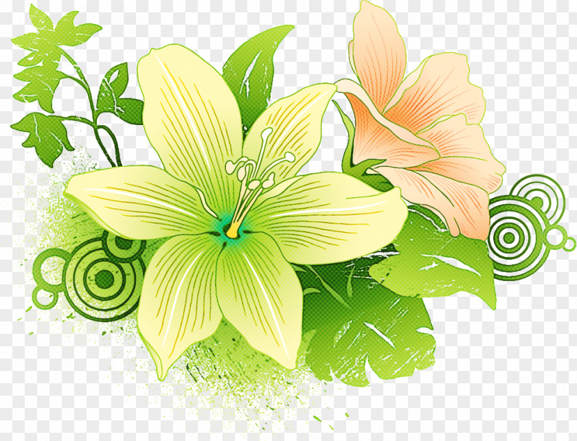 Lily Flower PNG