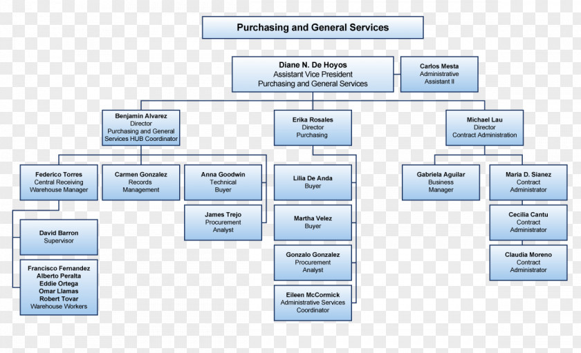 Logistics Staff Flowchart Organizational Chart Structure Diagram PNG