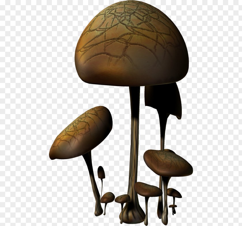 Mushroom I Confini Dell'anima PNG