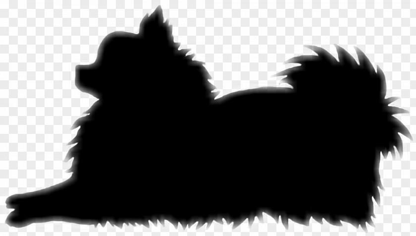 Pom Affenpinscher Pomeranian Dog Breed Snout Silhouette PNG