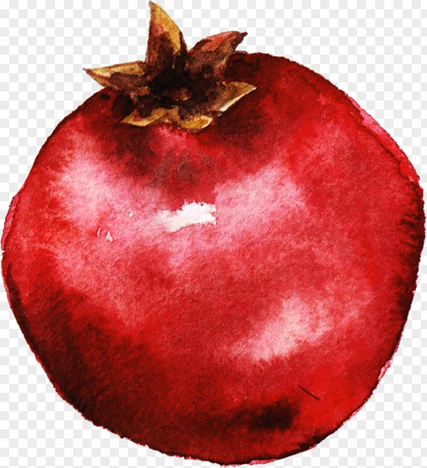Purple Pomegranate Juice Kiwifruit Watercolor Painting Illustration PNG