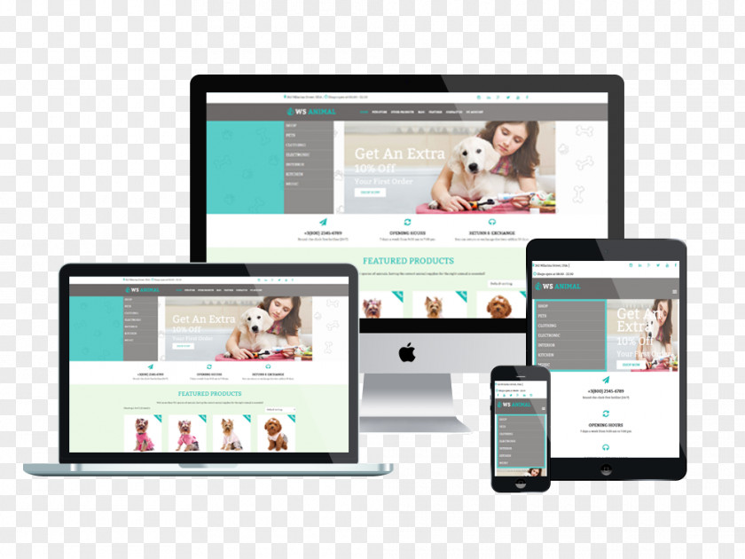 Web Design Responsive Template System PNG