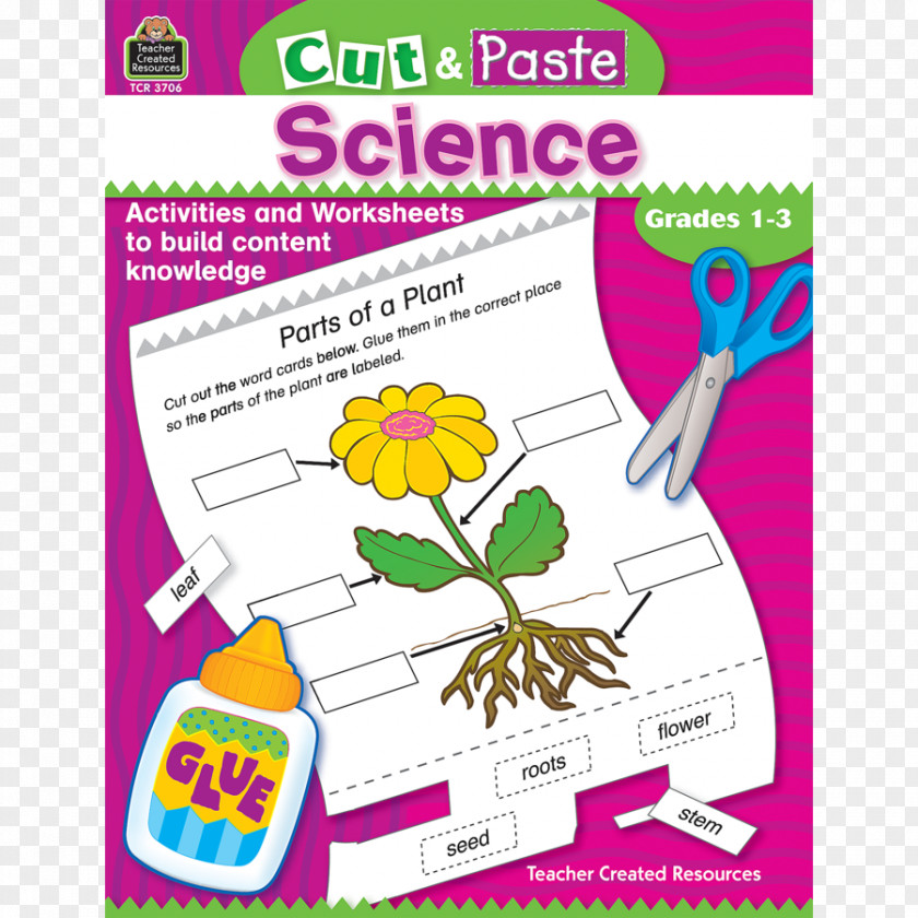 5th Rank 3d Number Cut And Paste: Science Language Arts Cut, Copy, Paste Worksheet PNG