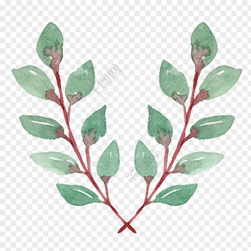 Adjustor Watercolor Leaf Design Image Drawing PNG