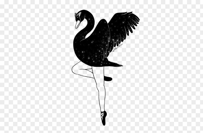 Black Swan IPhone X Art Drawing Illustration PNG