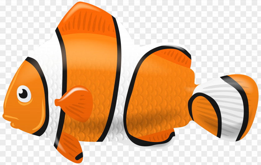 Fishing Clownfish Clip Art PNG