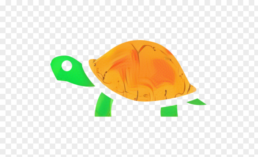 Hat Plastic Sea Turtle Background PNG