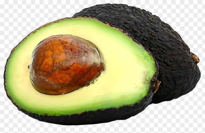 Ingredient Superfood Avocado PNG