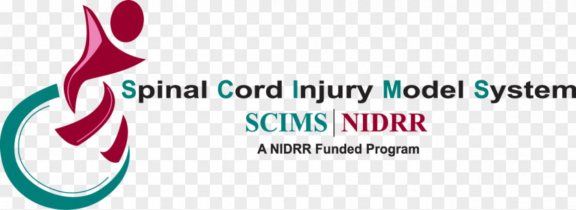 Spine Model Spinal Cord Injury Vertebral Column Paralysis Lesion PNG