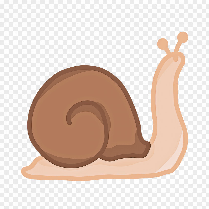 Squirrel Sea Snail Snails And Slugs Slug Clip Art PNG
