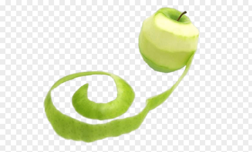 Apple Peel Food Fruit Slice PNG
