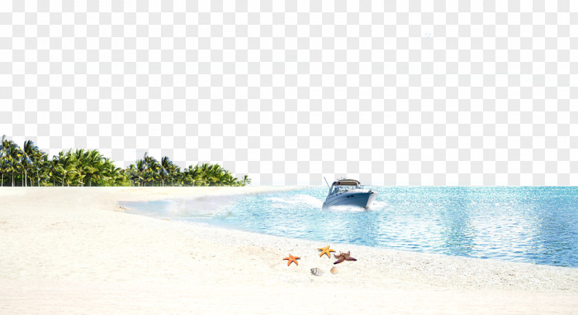 Beach Sea Background Material Sandy Ocean Wallpaper PNG