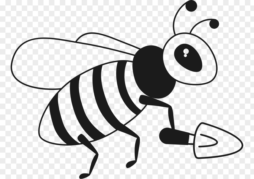 Bee Honey Honeycomb Insect Clip Art PNG