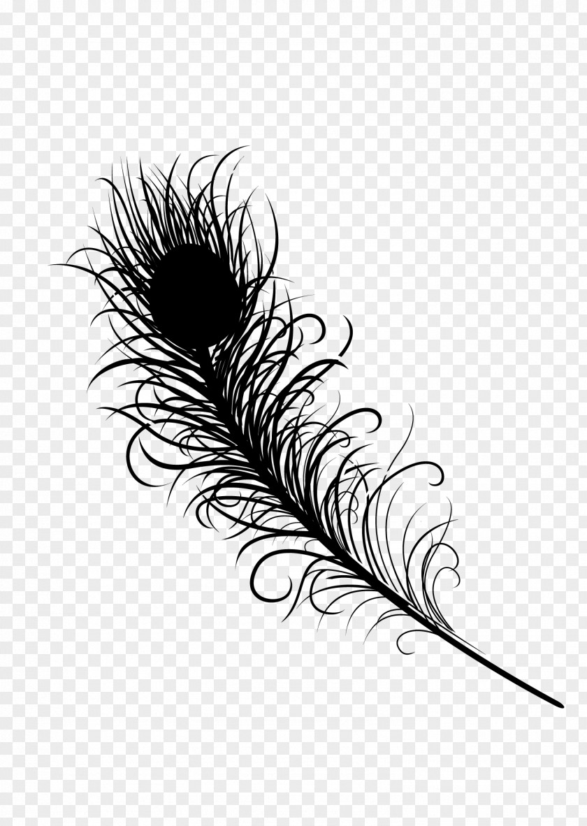 Feather Line PNG