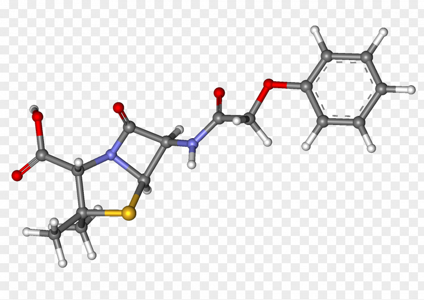 Hen Phenoxymethylpenicillin Ceftazidime Rivaroxaban Amoxicillin PNG