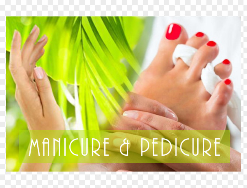 Nail Pedicure Manicure Beauty Parlour Salon PNG