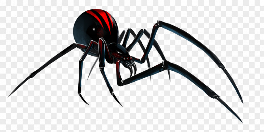 Spider Southern Black Widow Clip Art PNG