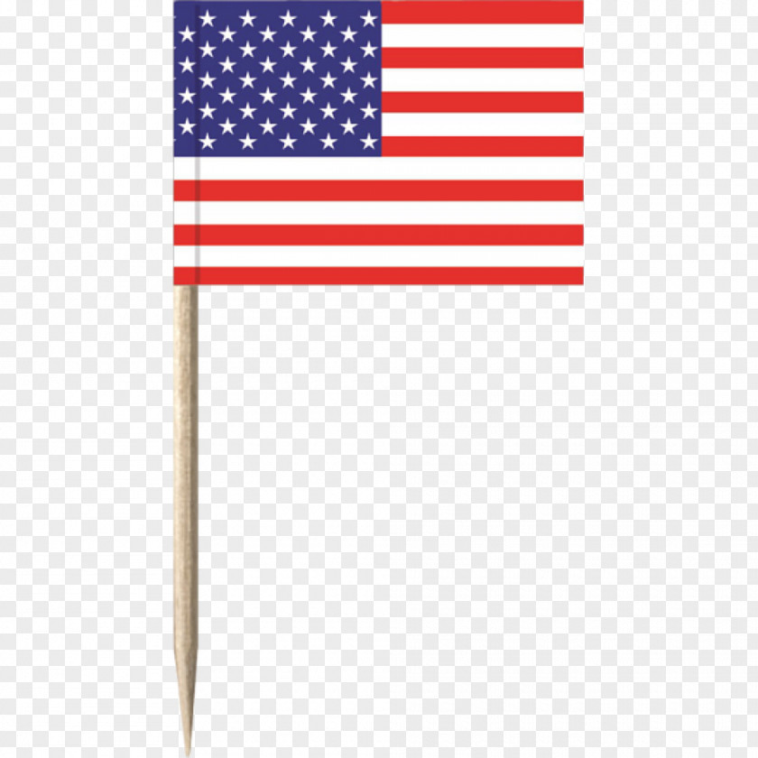 United States Flag Of The Flagpole Sand PNG