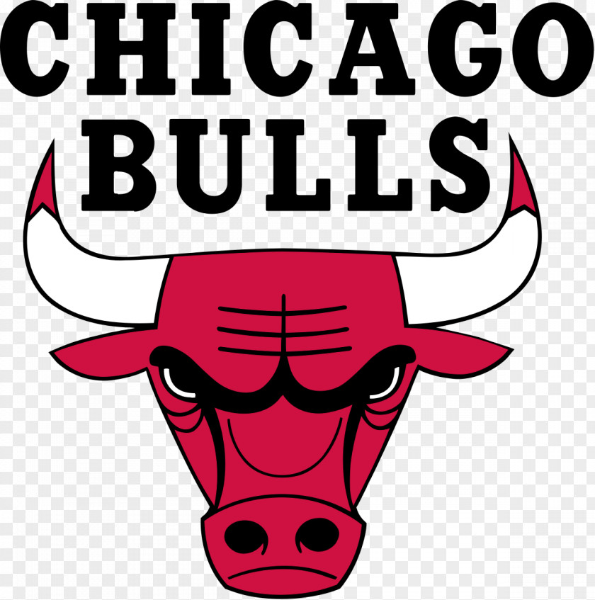 Bull Chicago Bulls NBA Playoffs Miami Heat PNG