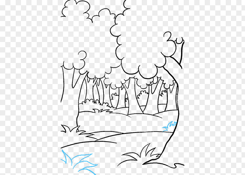 Cartoon Forest Line Art Drawing How To Draw Trees PNG