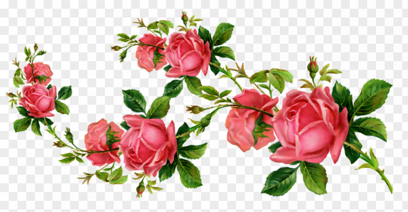 Flower Garden Roses Cut Flowers Clip Art PNG