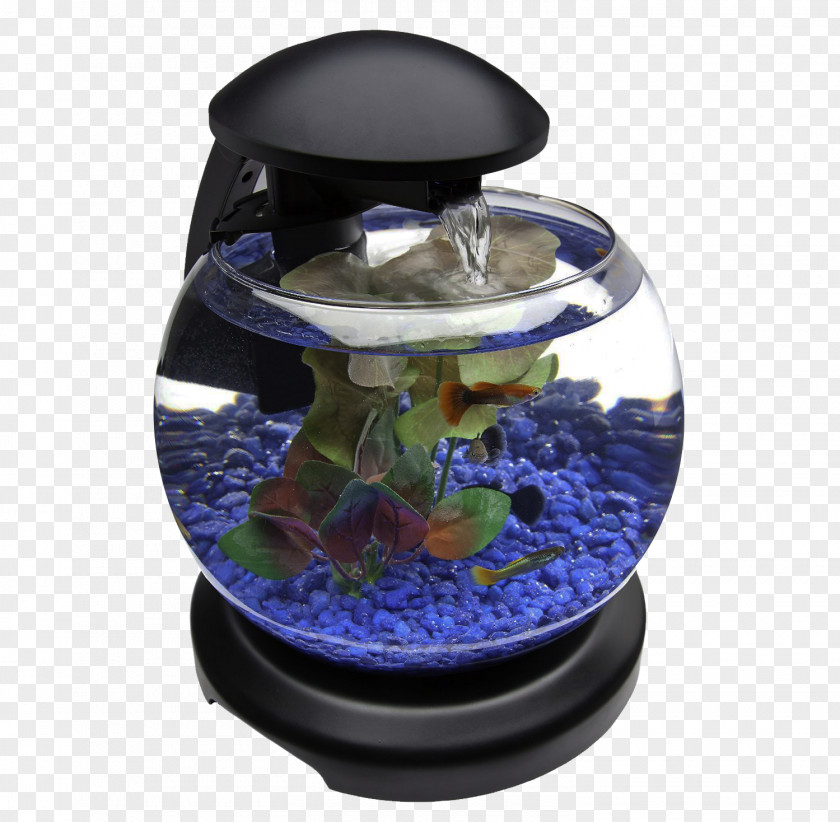 Glob Aquarium Fish Tank Barcelona Goldfish PNG
